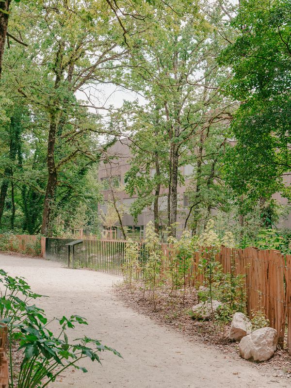 Forêt urbaine du quartier de l'Étang – plantations de masses arbustives et de vivaces
